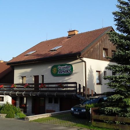 Pension Arnika Destne v Orlickych horach Bagian luar foto
