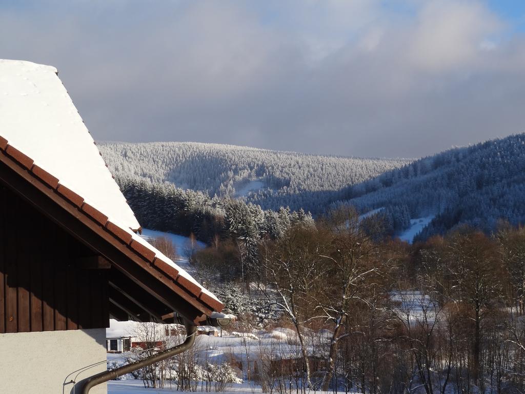 Pension Arnika Destne v Orlickych horach Bagian luar foto